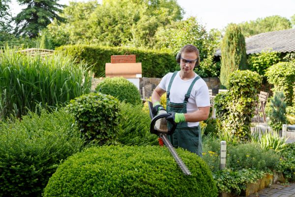 Shrubs Trimming in Monument