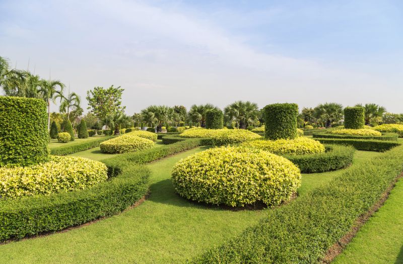 Healthy Shrubs in a Landscape